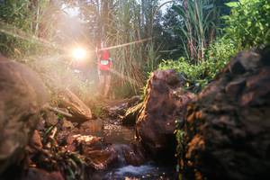 BIB: 
                            <button type="button" onclick="openModal(26418869)" class="btn btn-primary btn-sm float-right btn-popup" data-toggle="modal" data-target=".modal-high-quality">
                        <i class="fas fa-shopping-cart"></i> Add to Cart
                    </button>
                                            <button type="button" onclick="isThisMe(26418869, true)" class="btn btn-success btn-sm float-right btn-popup btn-isme hidden" data-toggle="tooltip" data-placement="bottom" title="นี่คือรูปของคุณใช่ไหม คลิกที่นี่เพื่อเอาเข้าอัลบั้ม">
                        <i class="fas fa-plus"></i> Add to album
                    </button>
                    <button type="button" onclick="isThisMe(26418869, false)" class="btn btn-warning btn-sm float-right btn-popup btn-isnotme hidden">
                        <i class="fas fa-ban"></i> Remove from album
                    </button>